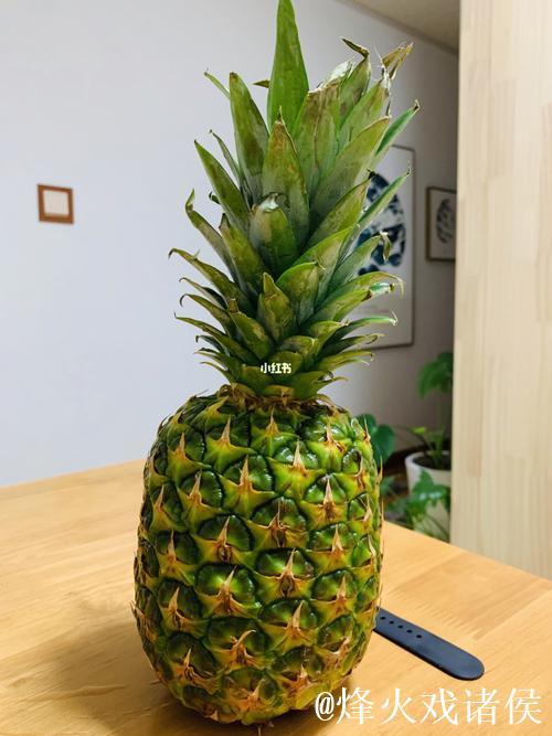 探索绿菠萝视频的神秘世界：揭开新媒体潮流的帷幕